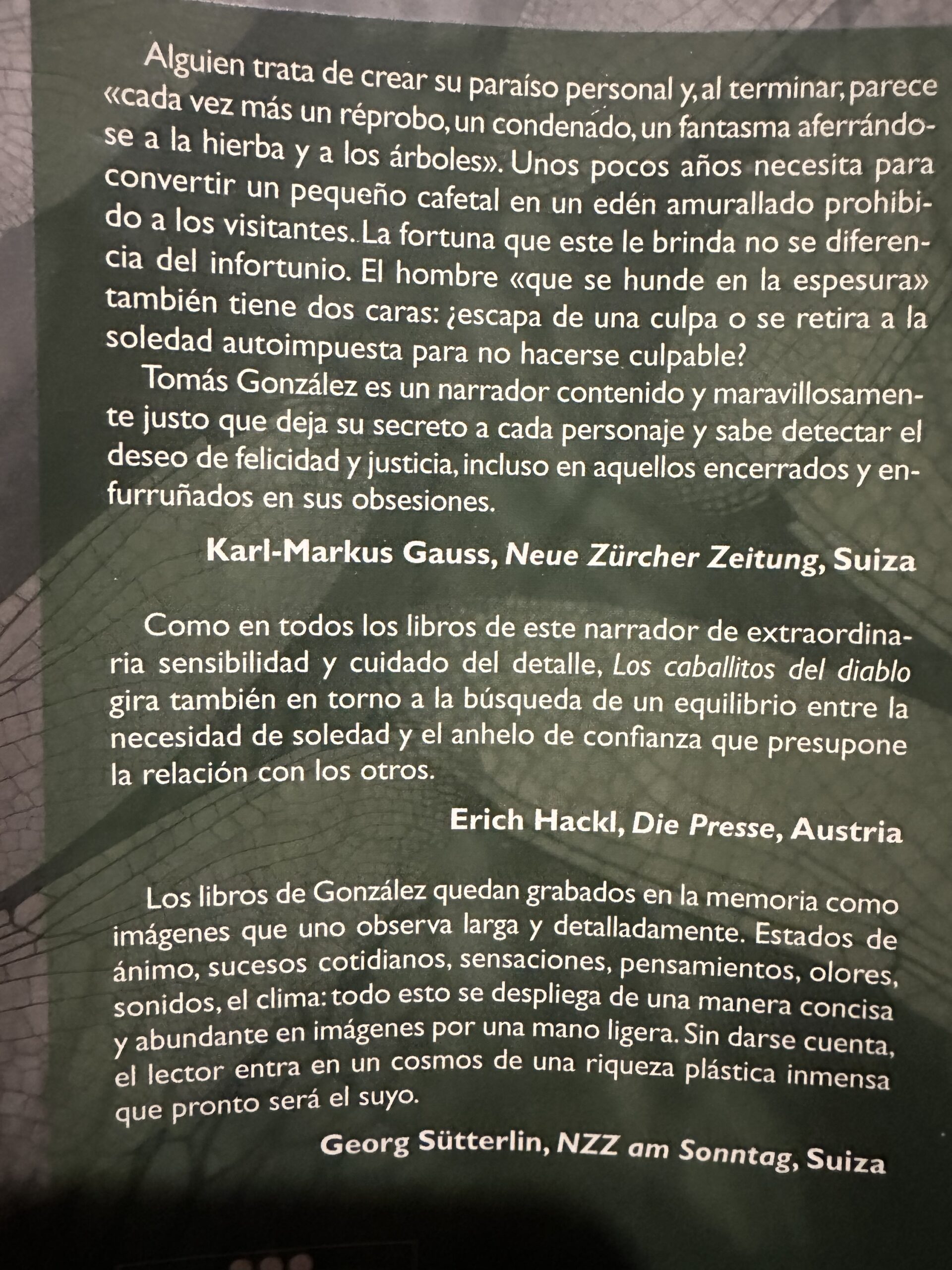 Los caballitos del diablo Tomás González - Image 2