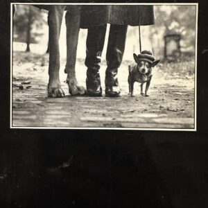Elliott Erwitt
