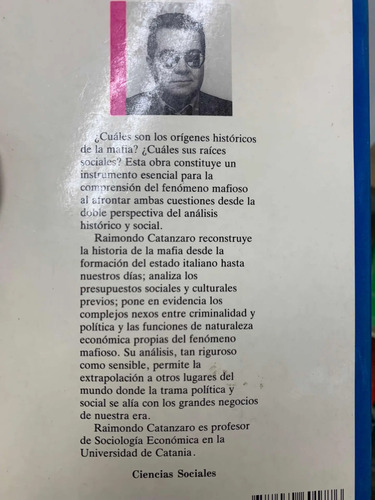 El Delito Como Empresa Raimondo Catanzaro