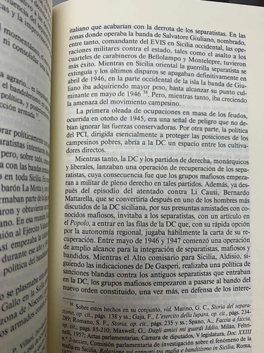 El Delito Como Empresa Raimondo Catanzaro