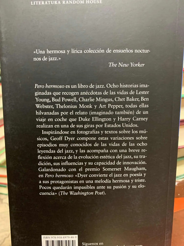 Pero Hermoso Geoff Dyer
