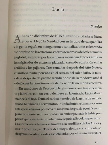 Más Allá Del Invierno Isabel Allende