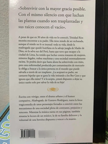 Madrugada Gustavo Rodríguez