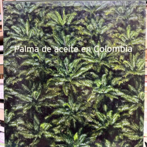 Palma De Aceite En Colombia