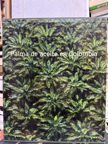 Palma De Aceite En Colombia
