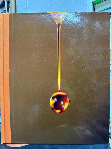 Palma De Aceite En Colombia