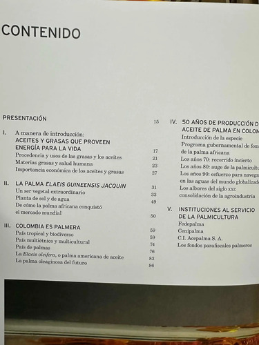 Palma De Aceite En Colombia