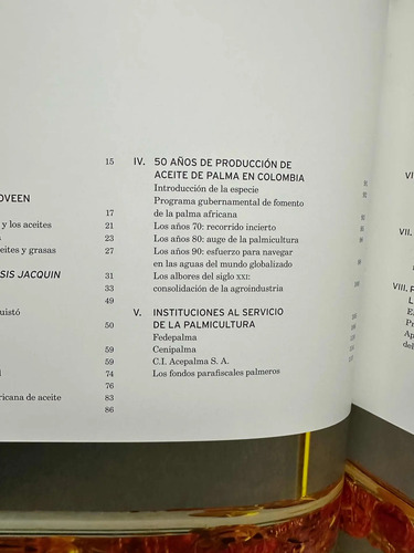 Palma De Aceite En Colombia