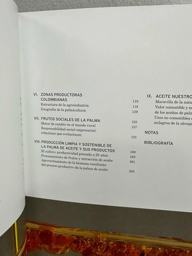 Palma De Aceite En Colombia