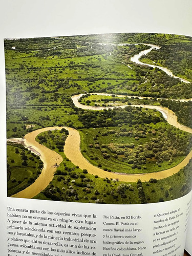 Palma De Aceite En Colombia