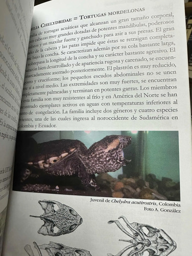 Las Tortugas Y Los Cocodrilianos De Los Países Andinos