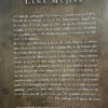 producto_639254560274345440_1 El Diario De Lena Lena Mujica