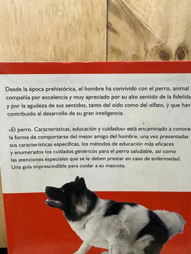 El Perro Javier Villahizán