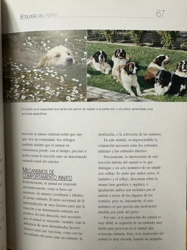 El Perro Javier Villahizán