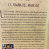La Araña Del Majestic Eloi Yagüe