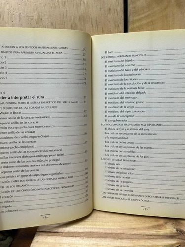 El Libro Curativo Del Aura Walter Lübeck
