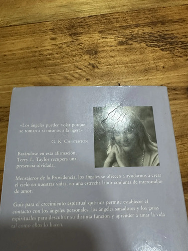 producto_639254567132085803_1 Los Ángeles Como Mensajeros Terry L Taylor