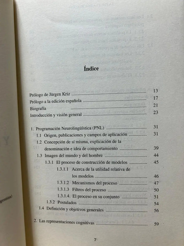 La Pnl Y La  Imaginación Ruprecht Weerth