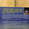 Libro Completo De Terapia Craneosacral Michael Kern