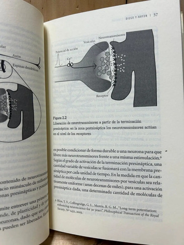 A Cada Cual Su Cerebro Francois Ansermet-pierre Magistretti