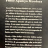 Gabo Cartas Y Recuerdos Plinio Apileyo Mendoza