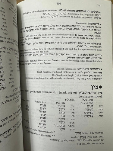 501 Hebrew Verbs Book