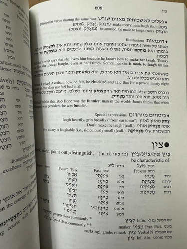501 Hebrew Verbs Book