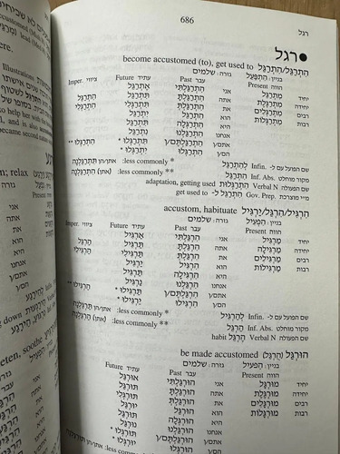 501 Hebrew Verbs Book