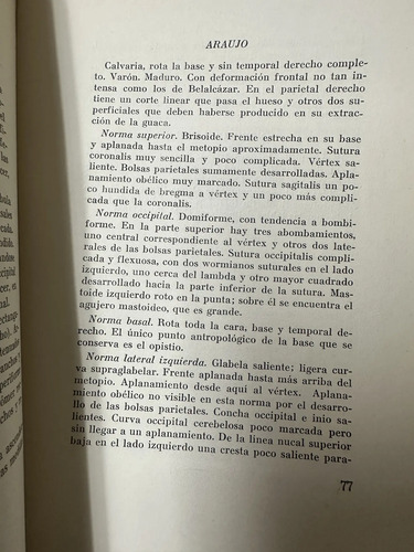 Arqueología Y Antropología De Tierra Adentro José Pérez
