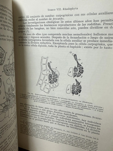 El Libro De La Sabiduría Gran Maestre Pierre