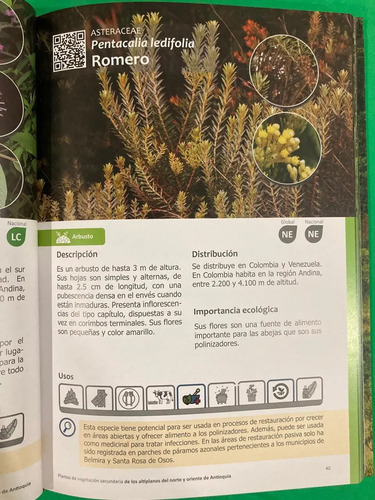 producto_639279588546471504_2 Plantas De La Vegetación Del Norte Y Oriente De Antioquia