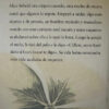 producto_639279597749776933_1 Afortunada - Alice Sebold