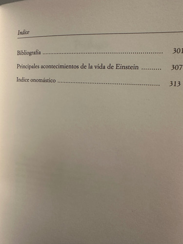 Albert Einstein -jaques Marleau-ponty