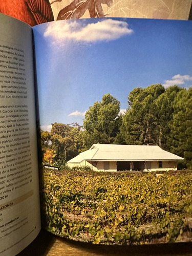 1001 Vinos Que Hay Que Probar Antes De Morir - Neil Beckett