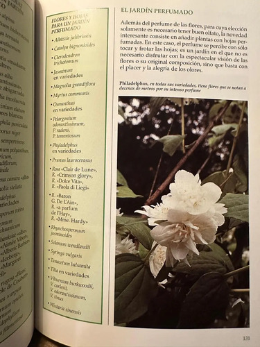 Huerto Y El Jardín - A. Furlani Pedoja