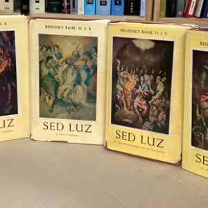 producto_639279609439118075_0 Sed De Luz - Benedikt Baur, O.s.b.