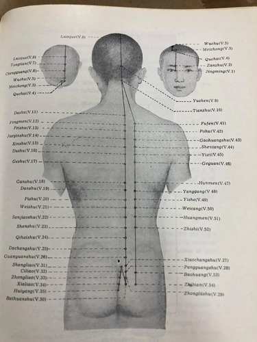 Fundamentos De La Acupuntura Y Moxibustión De China
