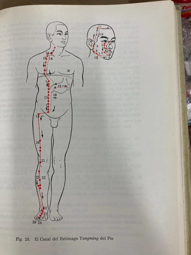 Fundamentos De La Acupuntura Y Moxibustión De China