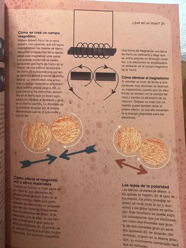 El Libro De La Magneto Terapia - Roger Coghill