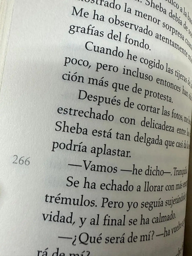 Diario De Un Escándalo - Zoê Heller