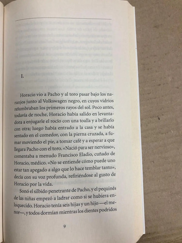 La Historia De Horacio - Tomás González