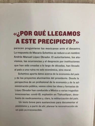 México En El Precipicio - Macario Schettino