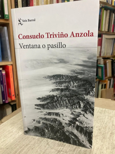 Ventana O Pasillo - Consuelo Triviño Anzola