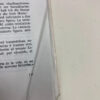 Teoría De Los Sentimientos - Agnes Heller