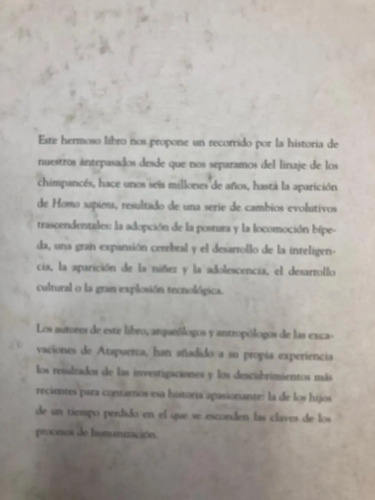 Hijos De Un Tiempo Perdido - José María Bermúdez De Castro