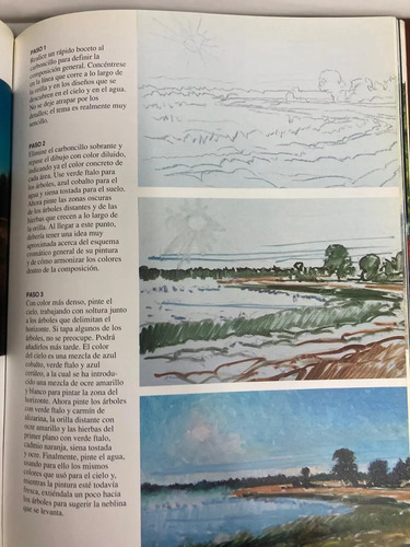 Temas Para Pintar Al Oleo: Arboles, Agua Y Cielos