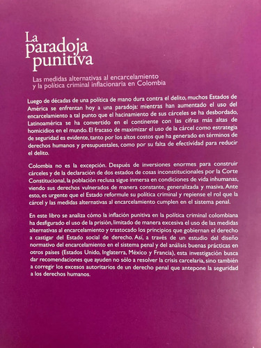 La Paradoja Punitiva - Juan Sebastián Hernández Moreno