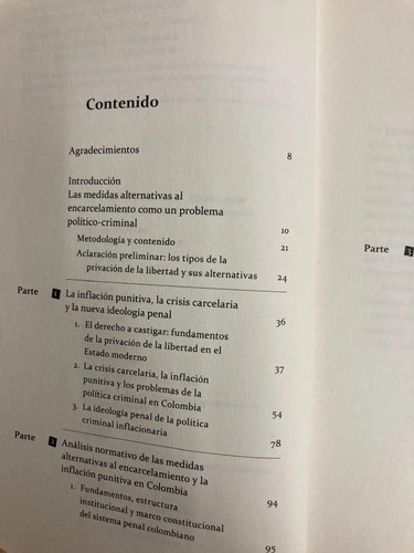 La Paradoja Punitiva - Juan Sebastián Hernández Moreno