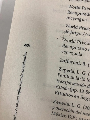 La Paradoja Punitiva - Juan Sebastián Hernández Moreno