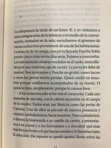 producto_639279649860822207_2 La Mirada De Humilda - Alonso Sánchez Baute
